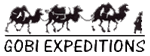 Gobi Expeditions