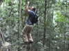 Jungle Boy